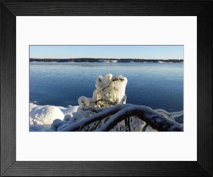 Framed Print : Frozen trees and plants on the coast of Northern Europe during a sunny morning Framed Print : Frozen trees and plants on the coast of Northern Europe during a sunny morning