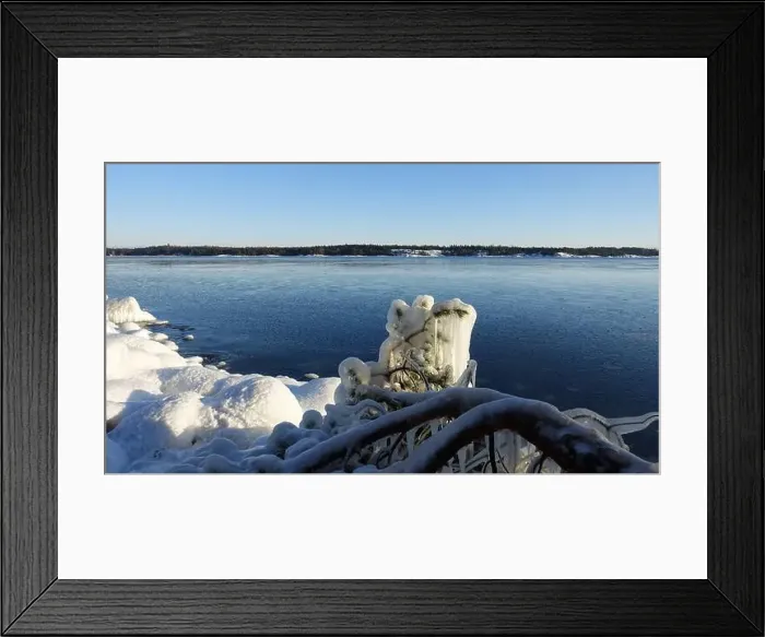 Framed Print : Frozen trees and plants on the coast of Northern Europe during a sunny morning Framed Print : Frozen trees and plants on the coast of Northern Europe during a sunny morning