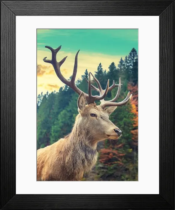 Framed Print : Portrait of a deer in a mountain forest during sunset. Vertical photo Framed Print : Portrait of a deer in a mountain forest during sunset. Vertical photo