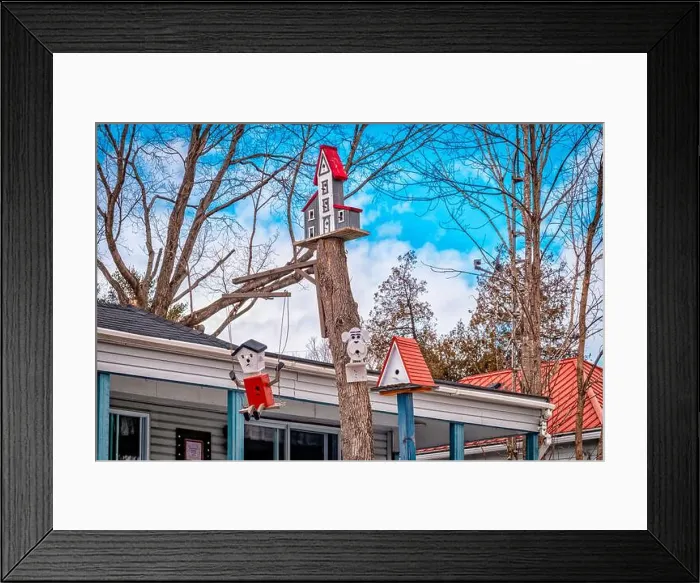 Framed Print : Unique Birdhouses Framed Print : Unique Birdhouses