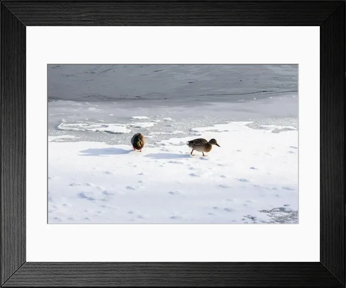 Framed Print : Winter landscape on the river Framed Print : Winter landscape on the river