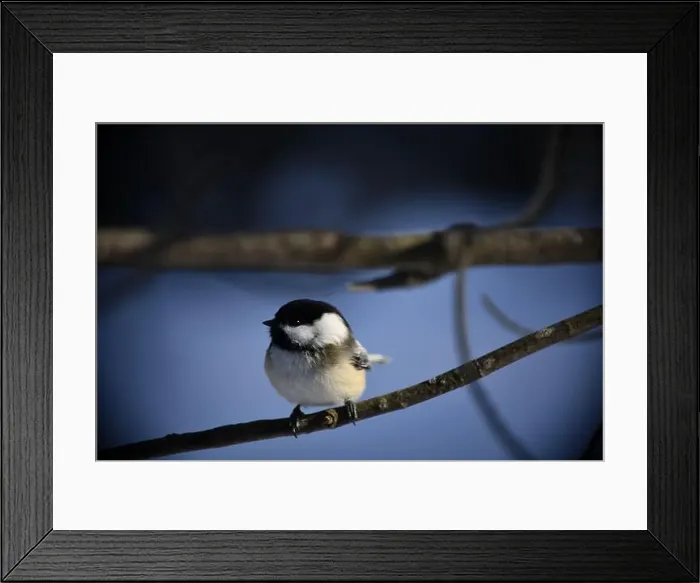 Framed Print : Rural mail delivery in winter in Northern Ontario Framed Print : Rural mail delivery in winter in Northern Ontario