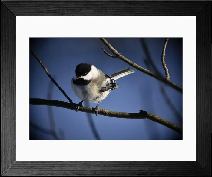 Framed Print : Rural mail delivery in winter in Northern Ontario Framed Print : Rural mail delivery in winter in Northern Ontario