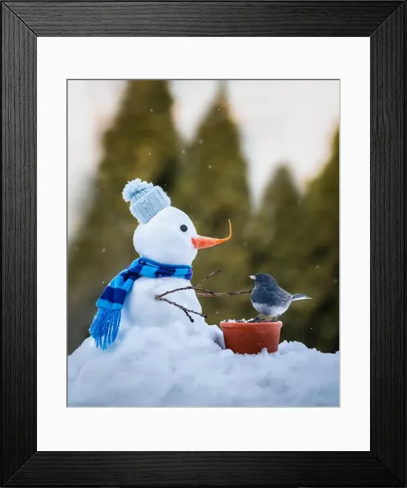 Framed Print : Small junco bird eating seeds from tiny snowman on snowy winter day Framed Print : Small junco bird eating seeds from tiny snowman on snowy winter day