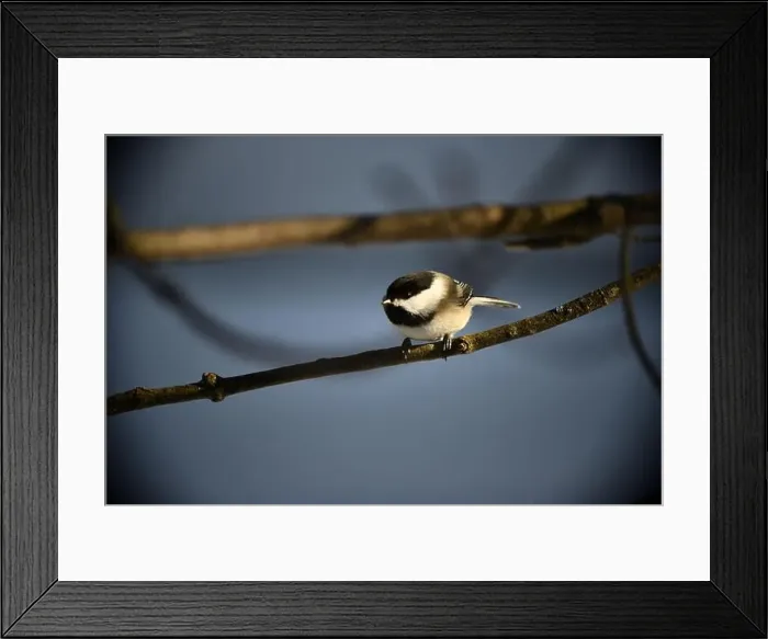 Framed Print : Rural mail delivery in winter in Northern Ontario Framed Print : Rural mail delivery in winter in Northern Ontario