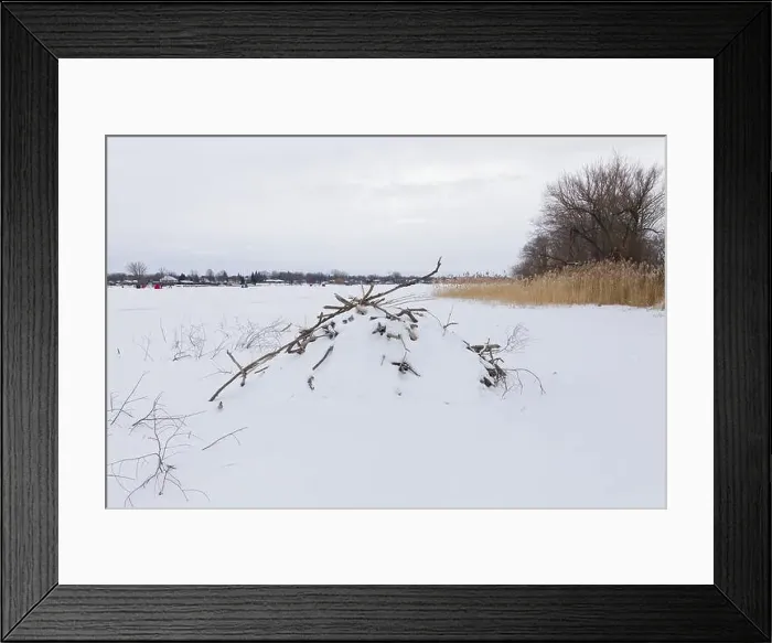 Framed Print : Nature, beaver habitat, Province of Quebec, Canada, North America Framed Print : Nature, beaver habitat, Province of Quebec, Canada, North America