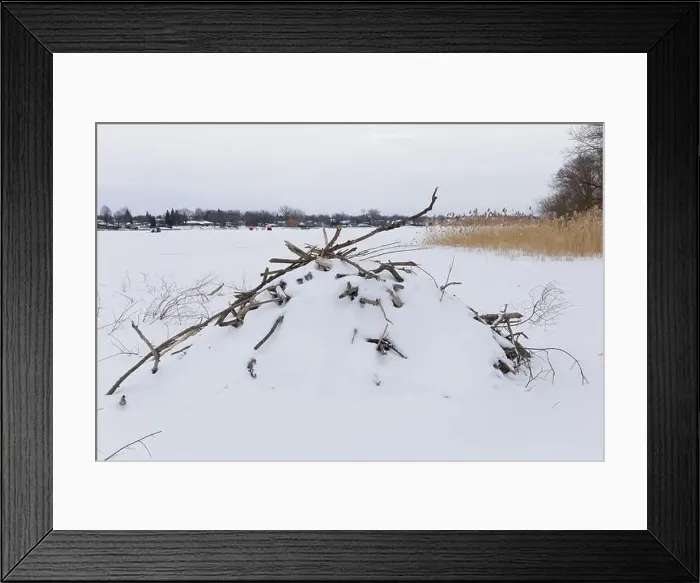 Framed Print : Nature, beaver habitat, Province of Quebec, Canada, North America Framed Print : Nature, beaver habitat, Province of Quebec, Canada, North America