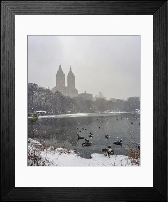 Framed Print : Central Park in winter, early morning in snowstorm, blizzard