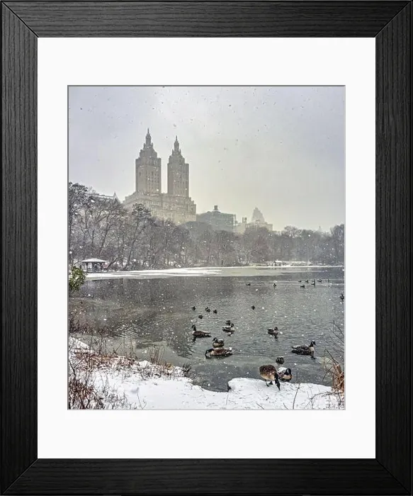 Framed Print : Central Park in winter, early morning in snowstorm, blizzard