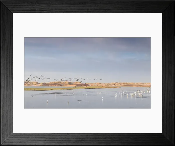 Framed Print : A flock of Canadian Geese seen flying over frozen water at Crosby near Liverpool Framed Print : A flock of Canadian Geese seen flying over frozen water at Crosby near Liverpool
