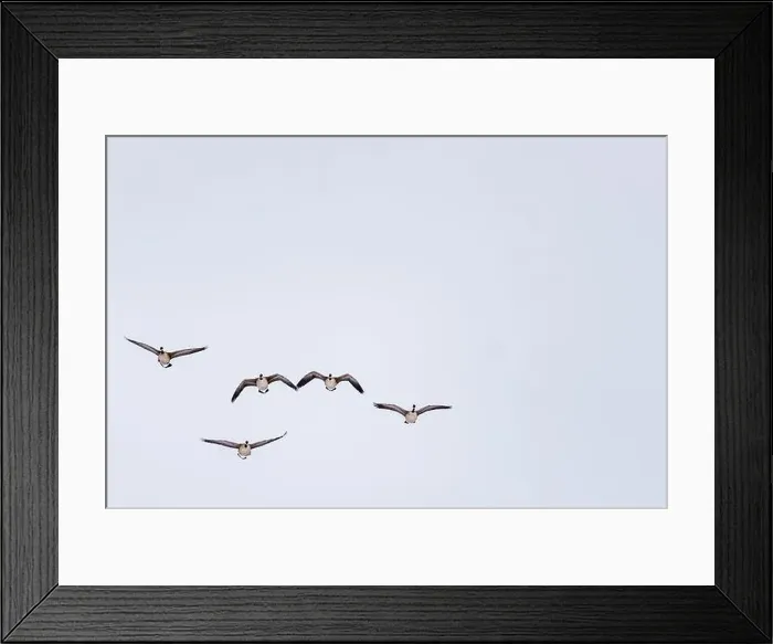 Framed Print : SEASONAL WINTER IN Ontario Framed Print : SEASONAL WINTER IN Ontario