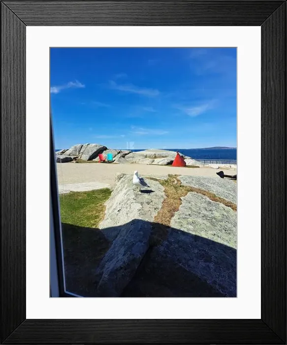 Framed Print : Adirondack chairs and red buoy at Peggy's Cove, Nova Scotia, Canada Framed Print : Adirondack chairs and red buoy at Peggy's Cove, Nova Scotia, Canada