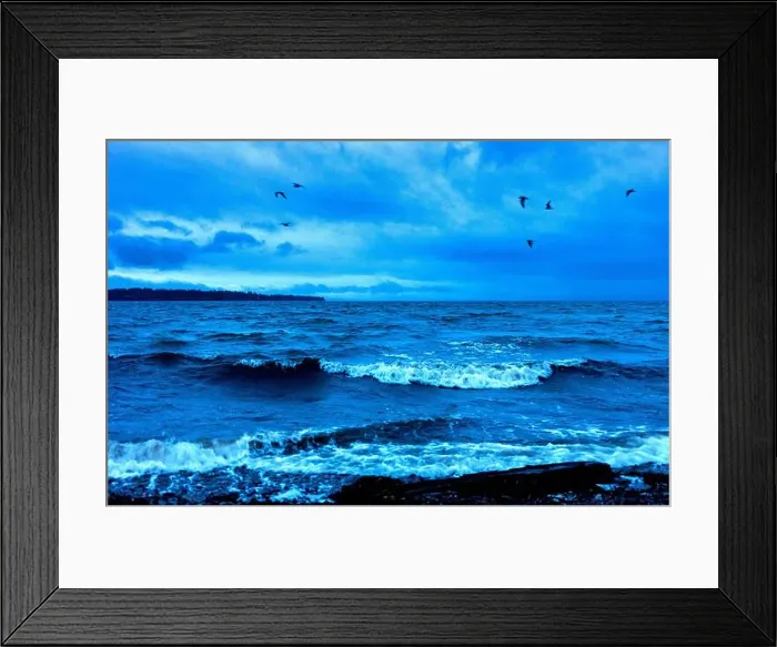 Framed Print : Seabirds and waves along the coast at blue hour; White Rock, British Columbia, Canada