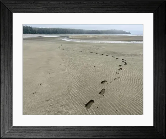 Framed Print : Footprints and bird tracks in the Sand on an empty beach, Vancouver Island, Vancouver, British Columbia, Canada Framed Print : Footprints and bird tracks in the Sand on an empty beach, Vancouver Island, Vancouver, British Columbia, Canada