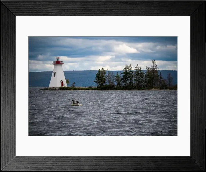 Framed Print : Cormorants on the water in front of lighthouse on the Cabot Trail