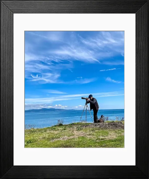 Framed Print : Man standing by the Salish sea with a telescope bird watching, Victoria, British Columbia, Canada