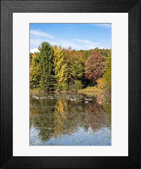 Framed Print : Vertical view of Pond of Ste-Marcelline-de-Kildare with colorful autumn colors Framed Print : Vertical view of Pond of Ste-Marcelline-de-Kildare with colorful autumn colors