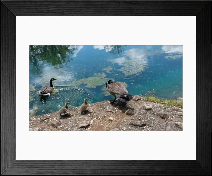 Framed Print : Mountain Home, Tennessee Framed Print : Mountain Home, Tennessee