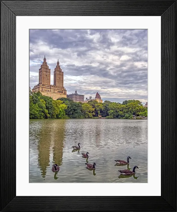 Framed Print : At he lake in Central Park, New York City, Manhattan Framed Print : At he lake in Central Park, New York City, Manhattan