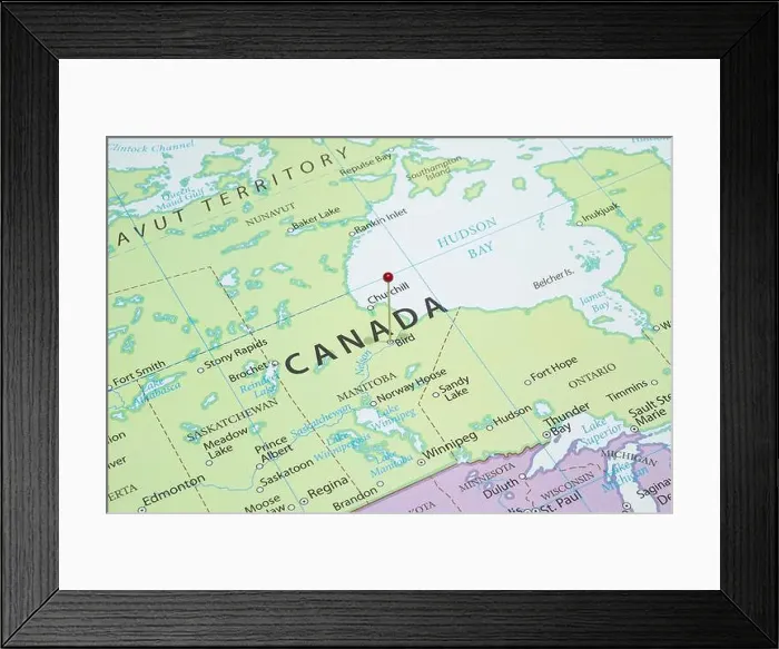 Framed Print : Close up to a Bird city with a red pin needle into Canada country political map Framed Print : Close up to a Bird city with a red pin needle into Canada country political map