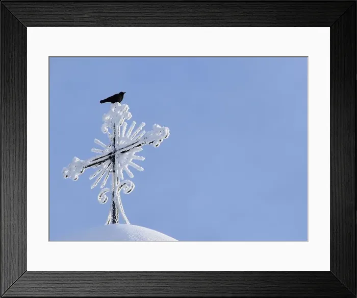 Framed Print : A crow on the cross of the church, Sainte-Apolline, Québec, Canada Framed Print : A crow on the cross of the church, Sainte-Apolline, Québec, Canada
