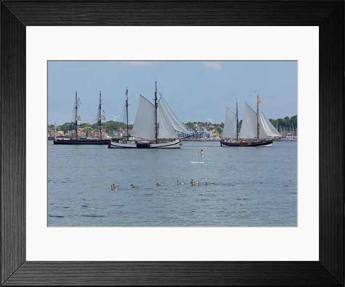 Framed Print : Sailing ships, Canada geese (Branta canadensis) Framed Print : Sailing ships, Canada geese (Branta canadensis)