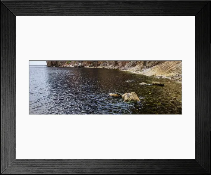 Framed Print : Seals on a Rock, Canada Framed Print : Seals on a Rock, Canada