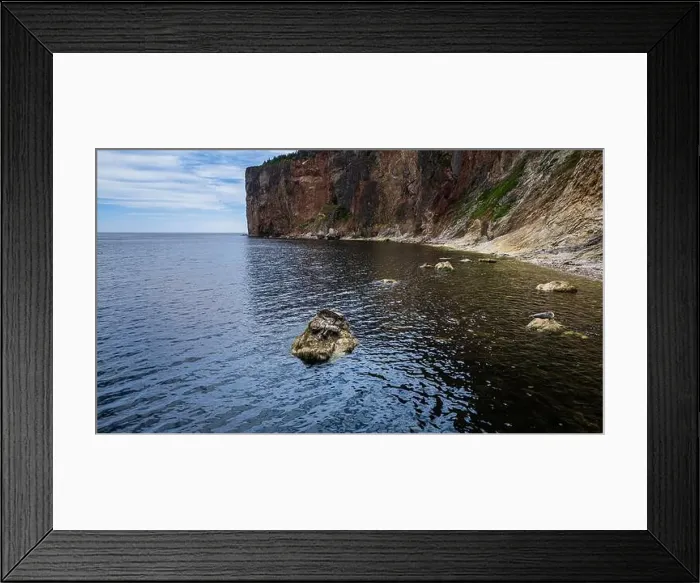 Framed Print : Seals on a Rock, Canada Framed Print : Seals on a Rock, Canada