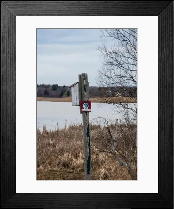 Framed Print : Wooden birdhouse at Riverfront Park in Dieppe, New Brunswick, Canada Framed Print : Wooden birdhouse at Riverfront Park in Dieppe, New Brunswick, Canada