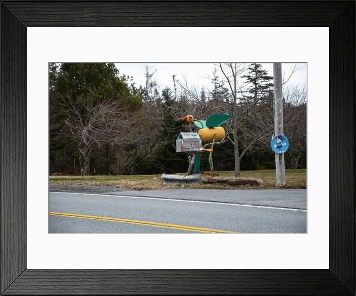 Framed Print : Homemade bird mailbox repurposed from a propane tank and other discarded items on highway 7 in Tangier Framed Print : Homemade bird mailbox repurposed from a propane tank and other discarded items on highway 7 in Tangier