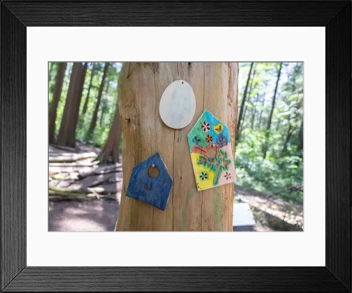 Framed Print : Collection of birdhouses made by children and placed on fallen trees in the forest Framed Print : Collection of birdhouses made by children and placed on fallen trees in the forest