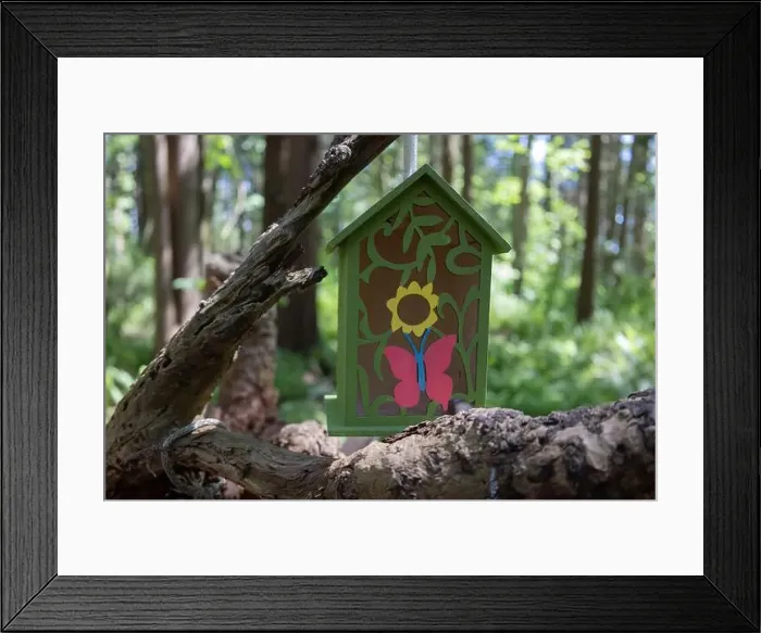 Framed Print : Collection of birdhouses made by children and placed on fallen trees in the forest Framed Print : Collection of birdhouses made by children and placed on fallen trees in the forest