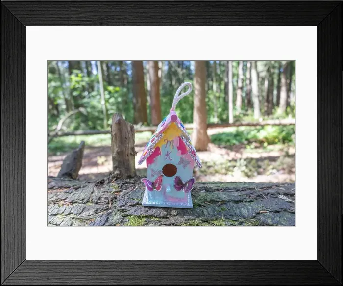 Framed Print : Collection of birdhouses made by children and placed on fallen trees in the forest Framed Print : Collection of birdhouses made by children and placed on fallen trees in the forest