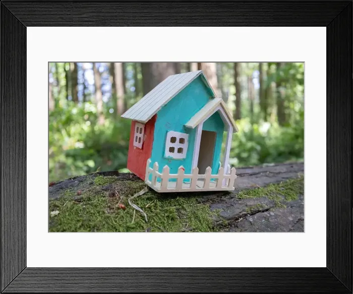 Framed Print : Collection of birdhouses made by children and placed on fallen trees in the forest