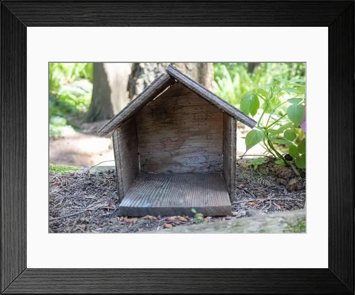Framed Print : Collection of birdhouses made by children and placed on fallen trees in the forest Framed Print : Collection of birdhouses made by children and placed on fallen trees in the forest