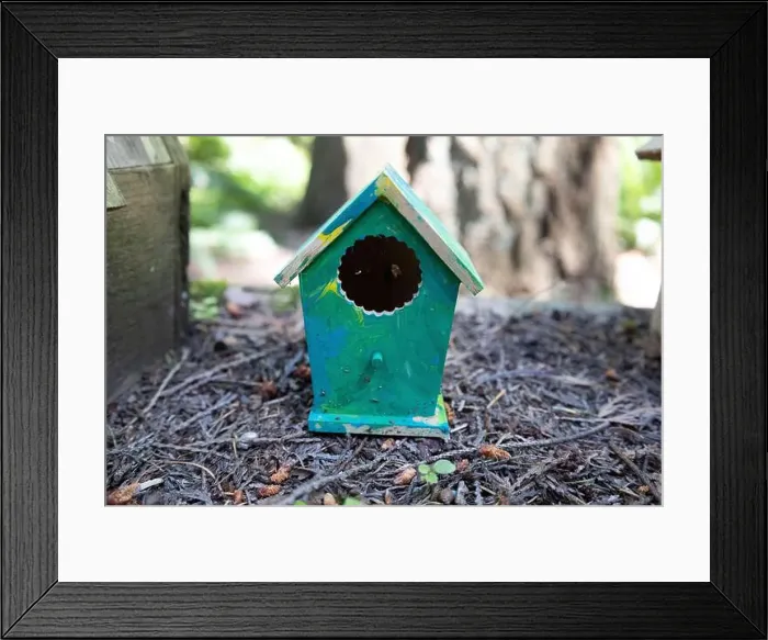Framed Print : Collection of birdhouses made by children and placed on fallen trees in the forest