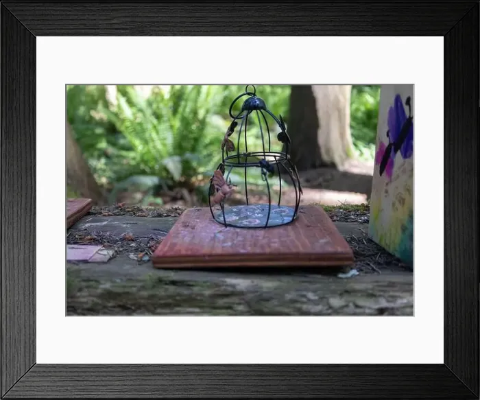 Framed Print : Collection of birdhouses made by children and placed on fallen trees in the forest Framed Print : Collection of birdhouses made by children and placed on fallen trees in the forest