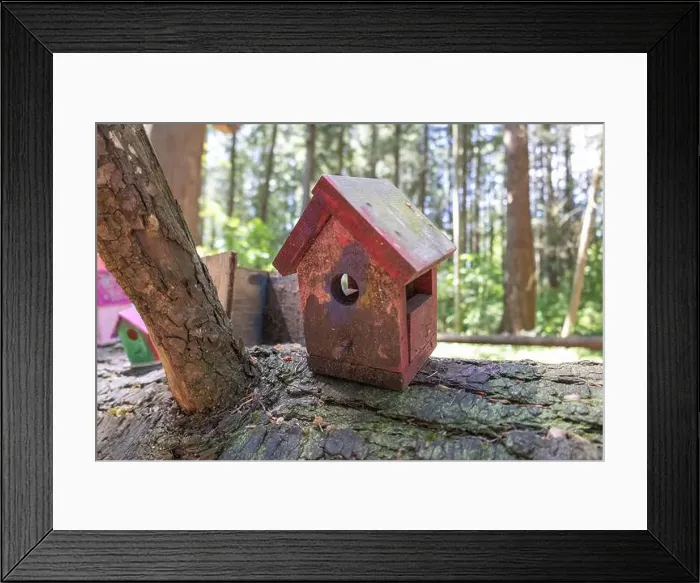 Framed Print : Collection of birdhouses made by children and placed on fallen trees in the forest Framed Print : Collection of birdhouses made by children and placed on fallen trees in the forest