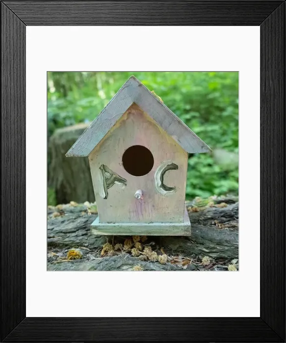 Framed Print : Collection of birdhouses made by children and placed on fallen trees in the forest Framed Print : Collection of birdhouses made by children and placed on fallen trees in the forest
