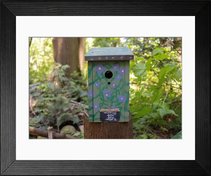 Framed Print : Collection of birdhouses made by children and placed on fallen trees in the forest Framed Print : Collection of birdhouses made by children and placed on fallen trees in the forest