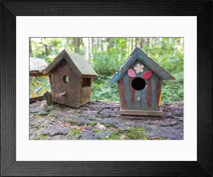 Framed Print : Collection of birdhouses made by children and placed on fallen trees in the forest Framed Print : Collection of birdhouses made by children and placed on fallen trees in the forest
