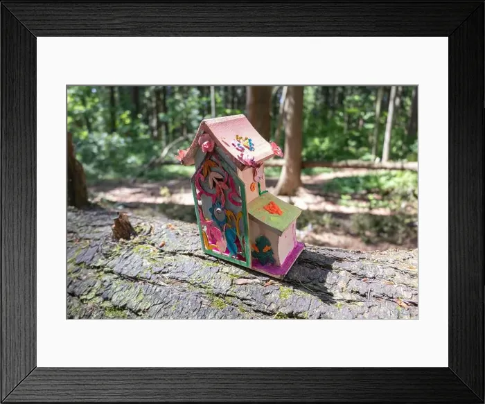 Framed Print : Collection of birdhouses made by children and placed on fallen trees in the forest Framed Print : Collection of birdhouses made by children and placed on fallen trees in the forest