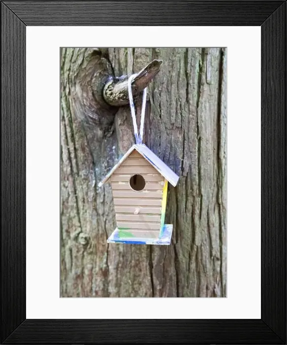 Framed Print : Collection of birdhouses made by children and placed on fallen trees in the forest Framed Print : Collection of birdhouses made by children and placed on fallen trees in the forest