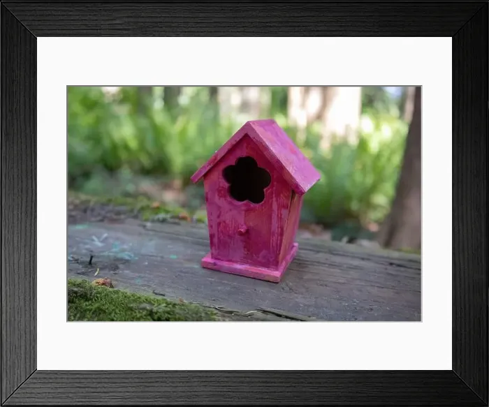 Framed Print : Collection of birdhouses made by children and placed on fallen trees in the forest Framed Print : Collection of birdhouses made by children and placed on fallen trees in the forest