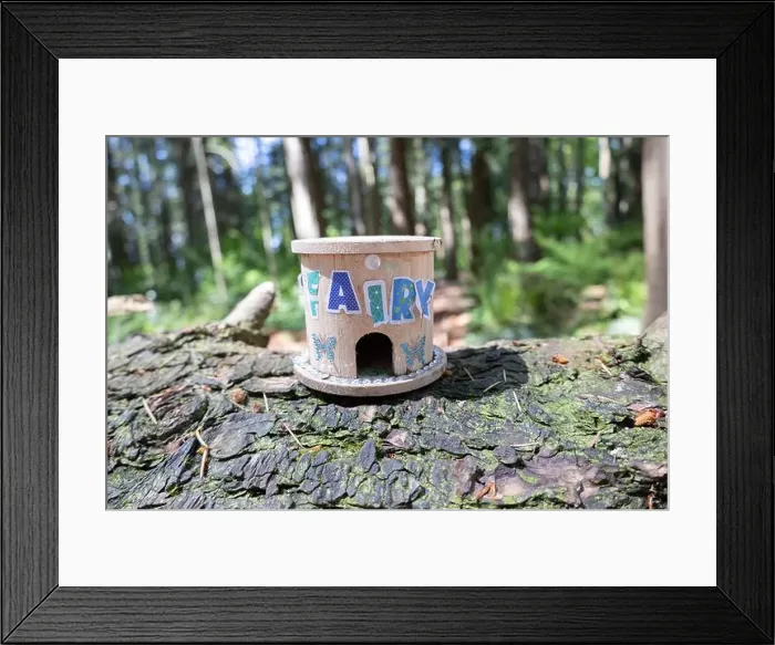 Framed Print : Collection of birdhouses made by children and placed on fallen trees in the forest Framed Print : Collection of birdhouses made by children and placed on fallen trees in the forest