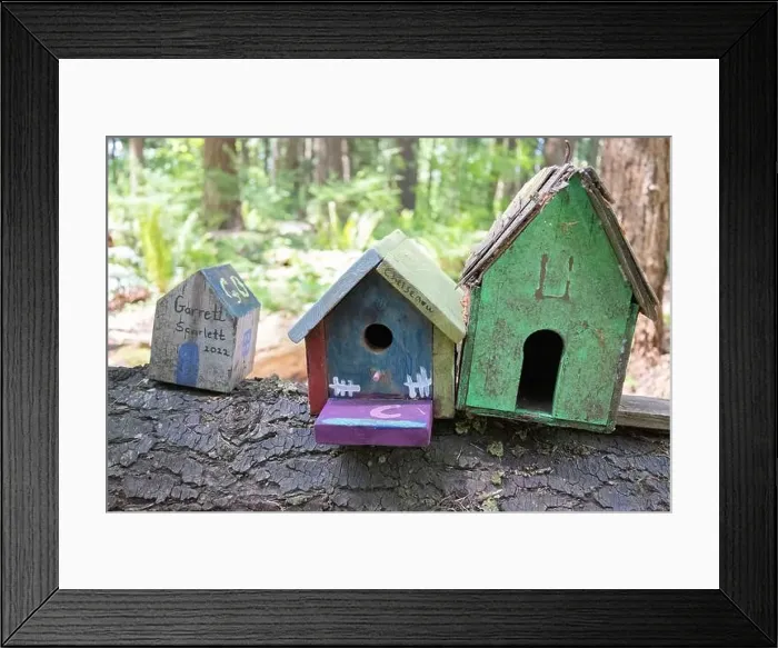 Framed Print : Collection of birdhouses made by children and placed on fallen trees in the forest Framed Print : Collection of birdhouses made by children and placed on fallen trees in the forest