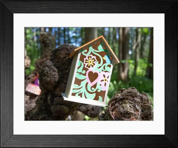 Framed Print : Collection of birdhouses made by children and placed on fallen trees in the forest Framed Print : Collection of birdhouses made by children and placed on fallen trees in the forest