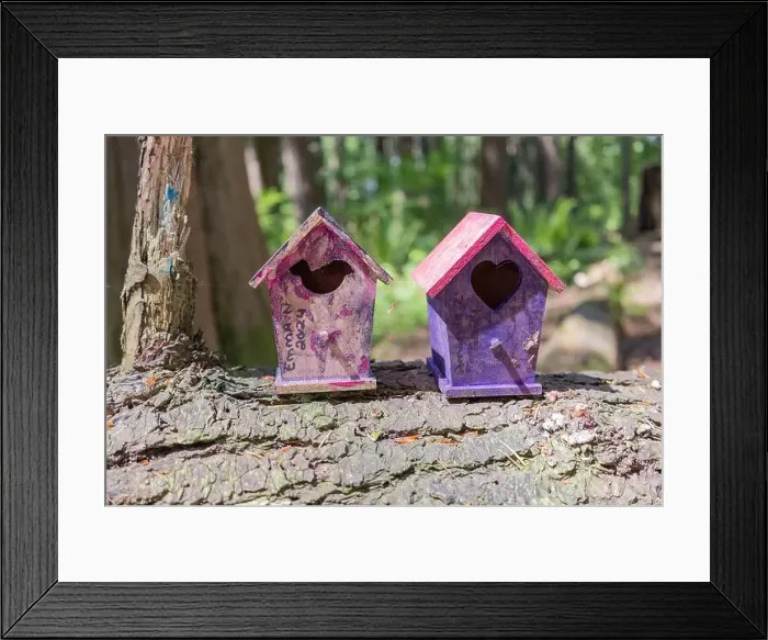 Framed Print : Collection of birdhouses made by children and placed on fallen trees in the forest Framed Print : Collection of birdhouses made by children and placed on fallen trees in the forest