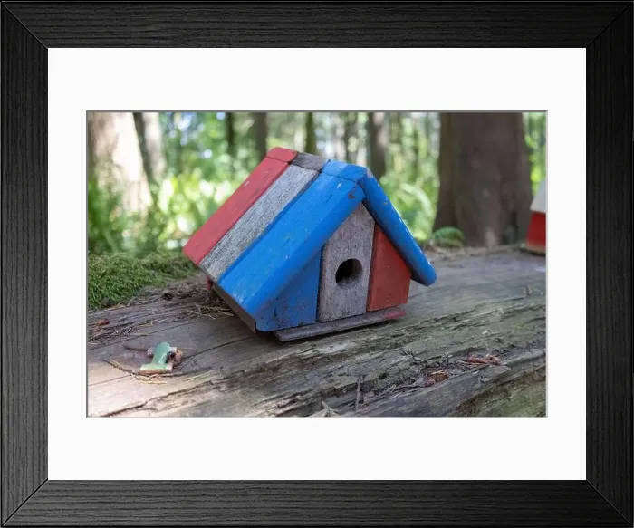 Framed Print : Collection of birdhouses made by children and placed on fallen trees in the forest Framed Print : Collection of birdhouses made by children and placed on fallen trees in the forest