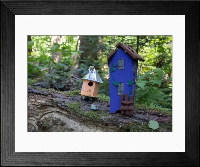 Framed Print : Collection of birdhouses made by children and placed on fallen trees in the forest Framed Print : Collection of birdhouses made by children and placed on fallen trees in the forest